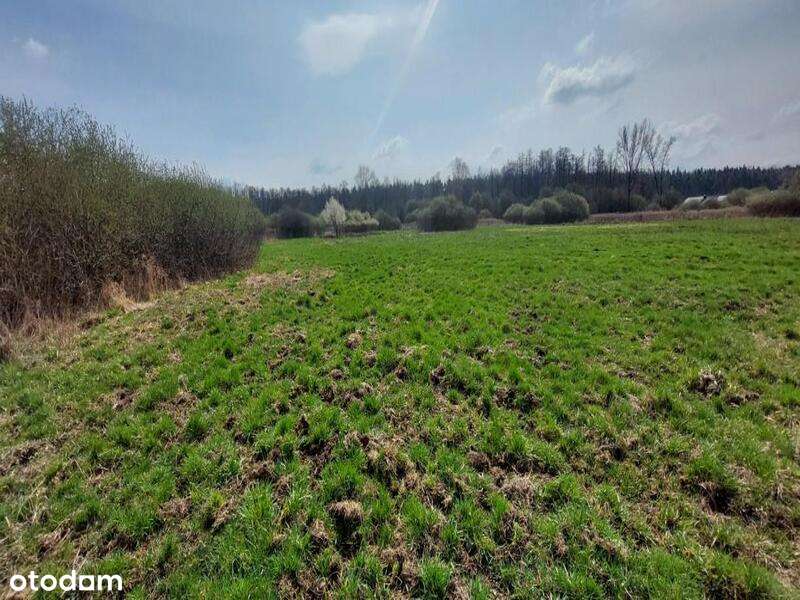 Udział wynoszący 1/2 w prawie własności nieruchomości - Pełny obrazek: 4/8