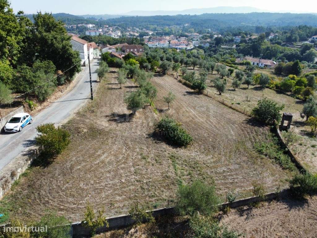 Terreno Rústico Urbanizável em Tábua - Grande imagem: 5/16