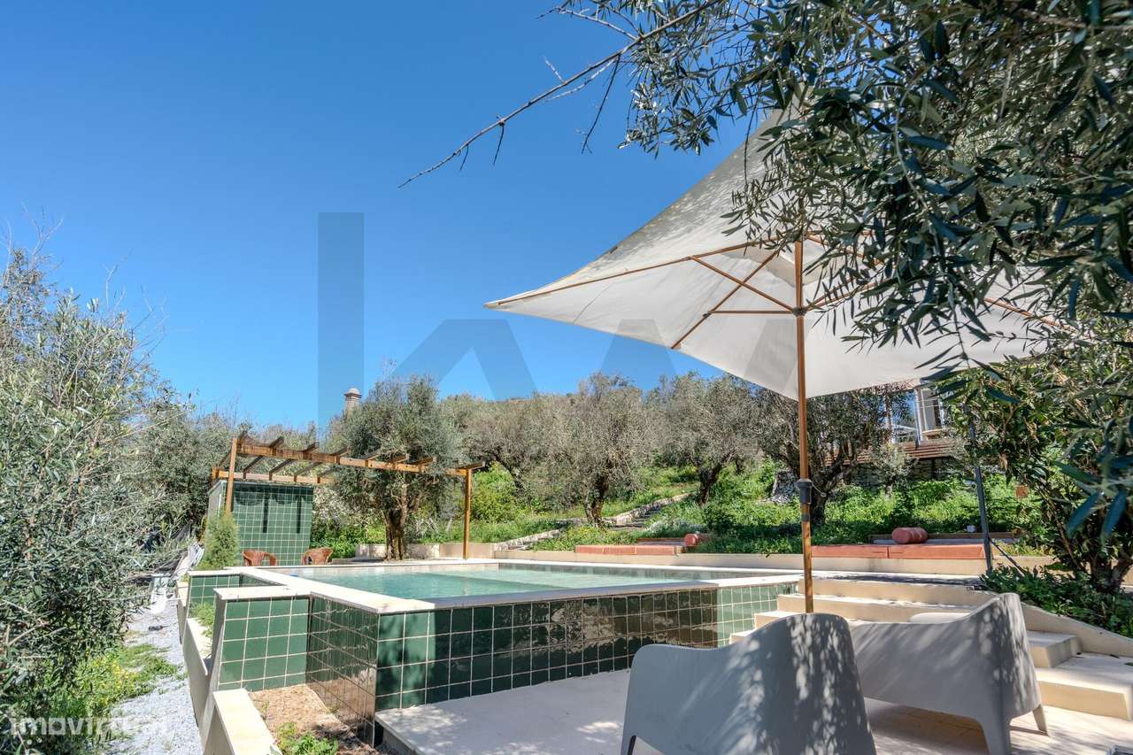 O Último Tesouro de Castelo de Vide - Grande imagem: 2/60