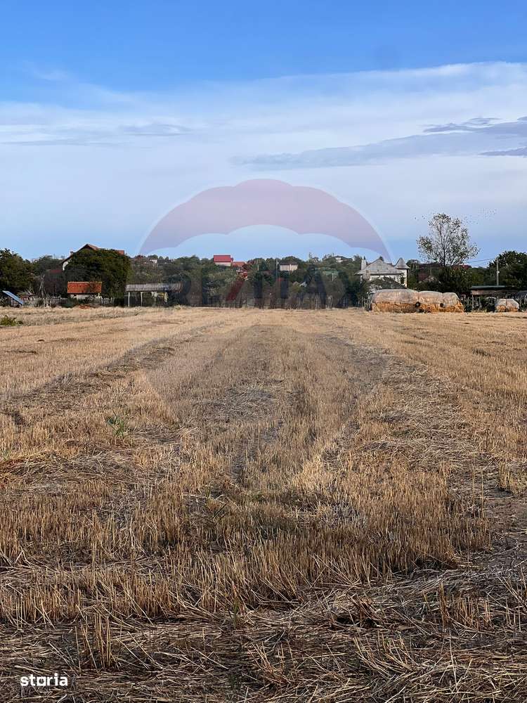 Teren intravilan de vanzare - Imagine principală: 2/3