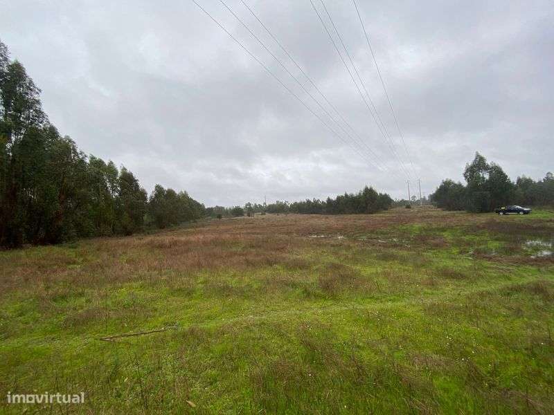 Terreno 19640m2 Marinhais (Salvaterra) - Grande imagem: 4/5