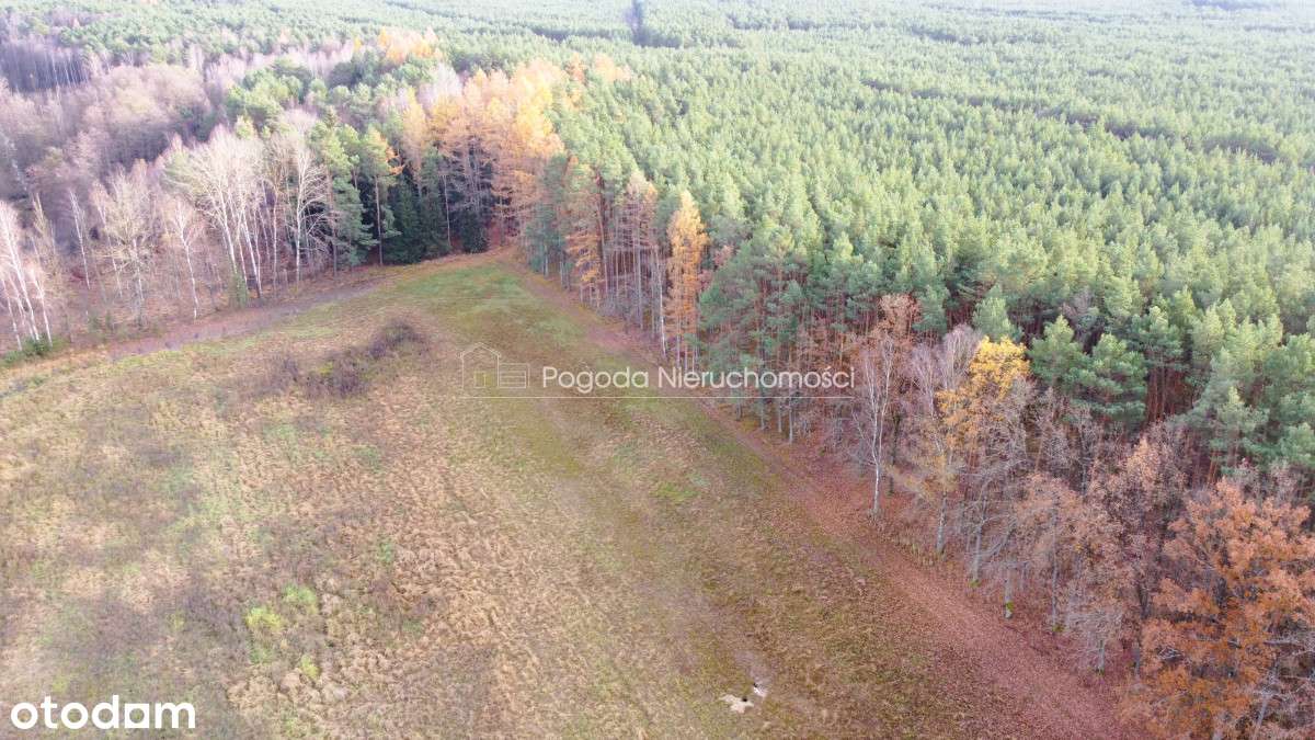 Działki na sprzedaż - Trzebule-15