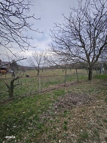 De vanzare teren intravilan, situat pe str. Piersicilor Oradea-3