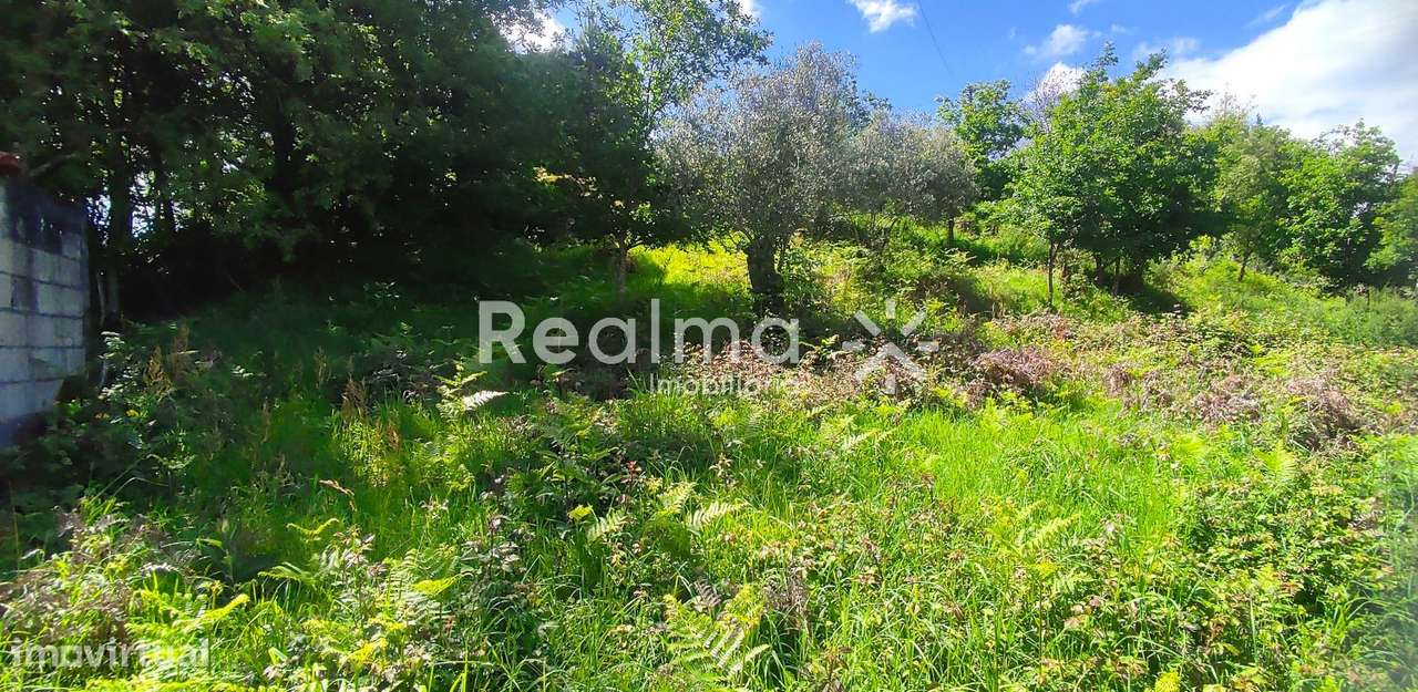 Terreno c/ Viabilidade Construtiva em Ruivães - Vieira do Minho-5