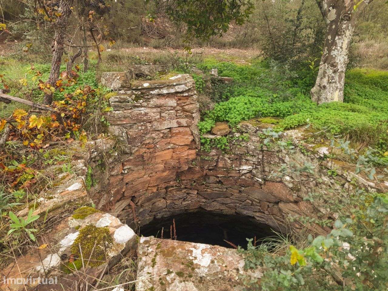 Quinta - Grande imagem: 4/12