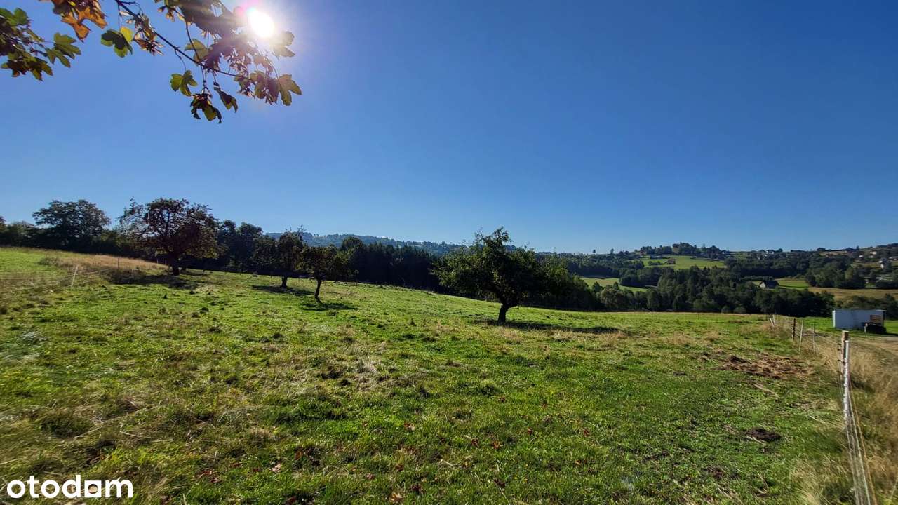 Działka budowlana, 2400m2, Istebna - Pełny obrazek: 4/14