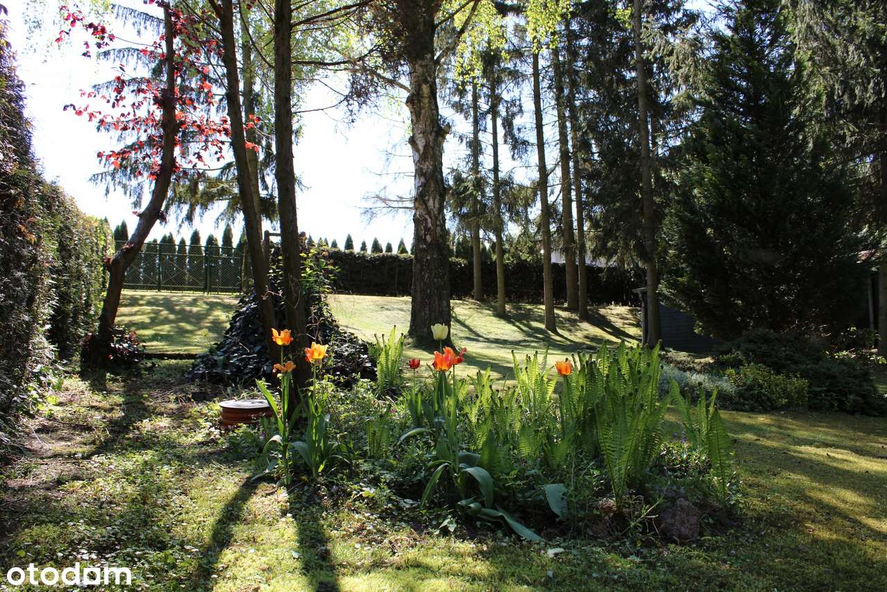 Sprzedam atrakcyjną działkę w Pobiedziskach!!!-2