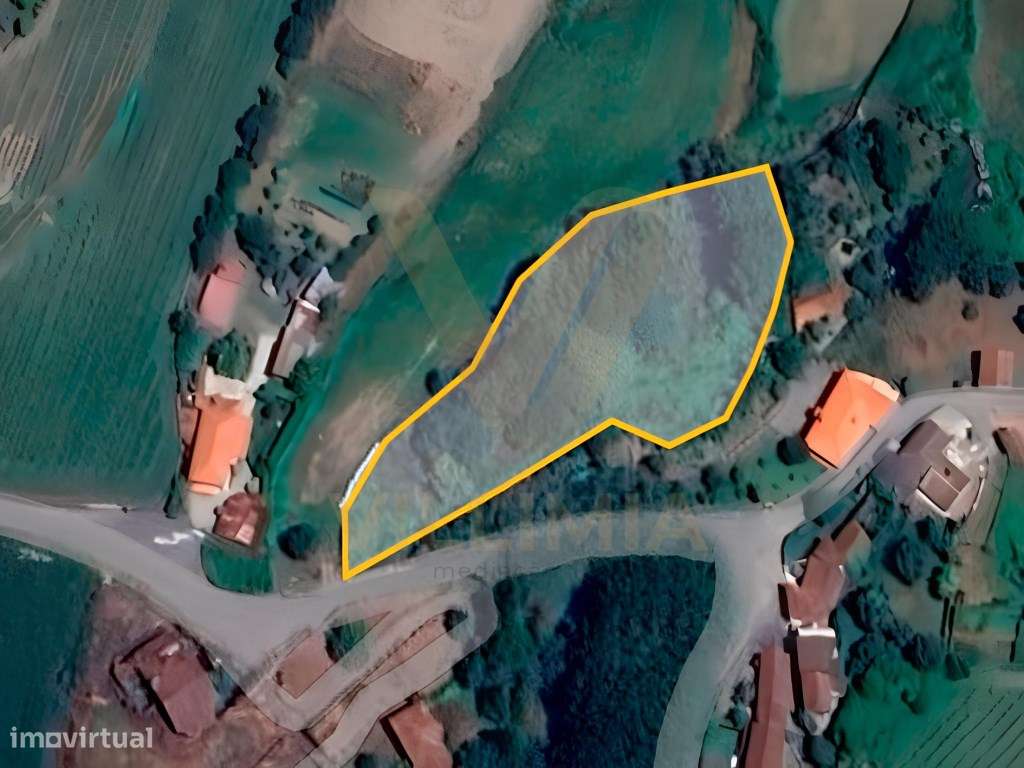 Terreno Agrícola com 3587 m² - S. Martinho da Gandra, Ponte de Lima - Grande imagem: 4/4