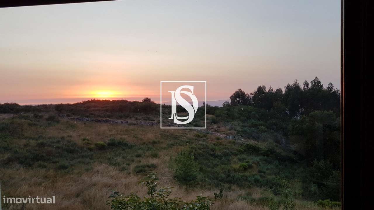 MORADIA T1 RENOVADA COM 10.000 m² – BUSTELO, AMARANTE-33