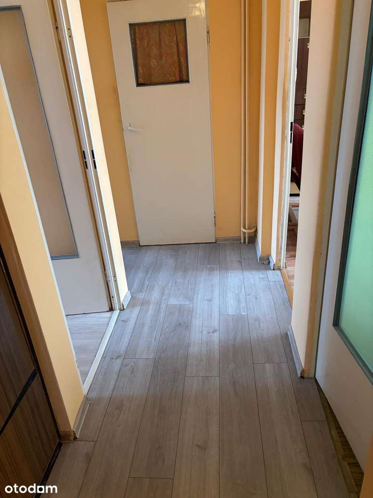 Przestronne 3-pokojowe mieszkanie z balkonem - Pełny obrazek: 5/5