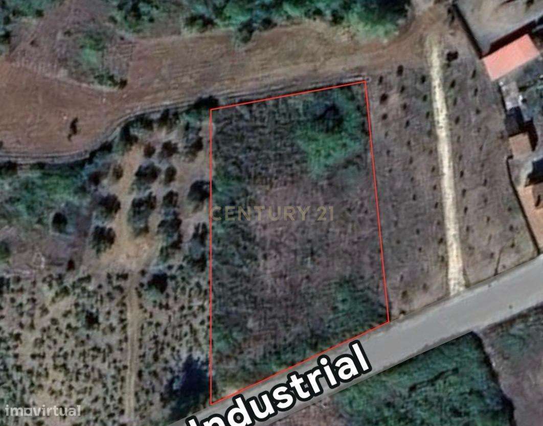 Excelente Terreno na Aguda – Tranquilidade, Natureza e Ótimos Acessos - Grande imagem: 5/5