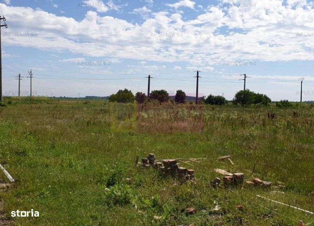 Teren aproape de Bucuresti langa padure între case - Imagine principală: 4/20