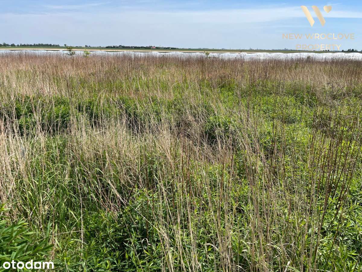 Działka budowlana, Jenkowice obok Oleśnicy - Pełny obrazek: 4/7