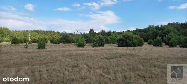 Wyjątkowe, 18km od Bydgoszczy, lokata kapitału!-5