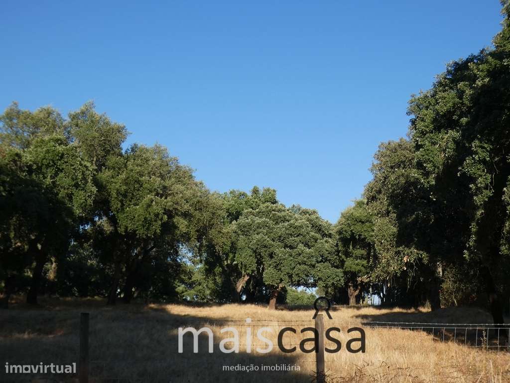 Herdade com Habitações, Piscina, Turismo, Canil e Campo de Jogos !-37