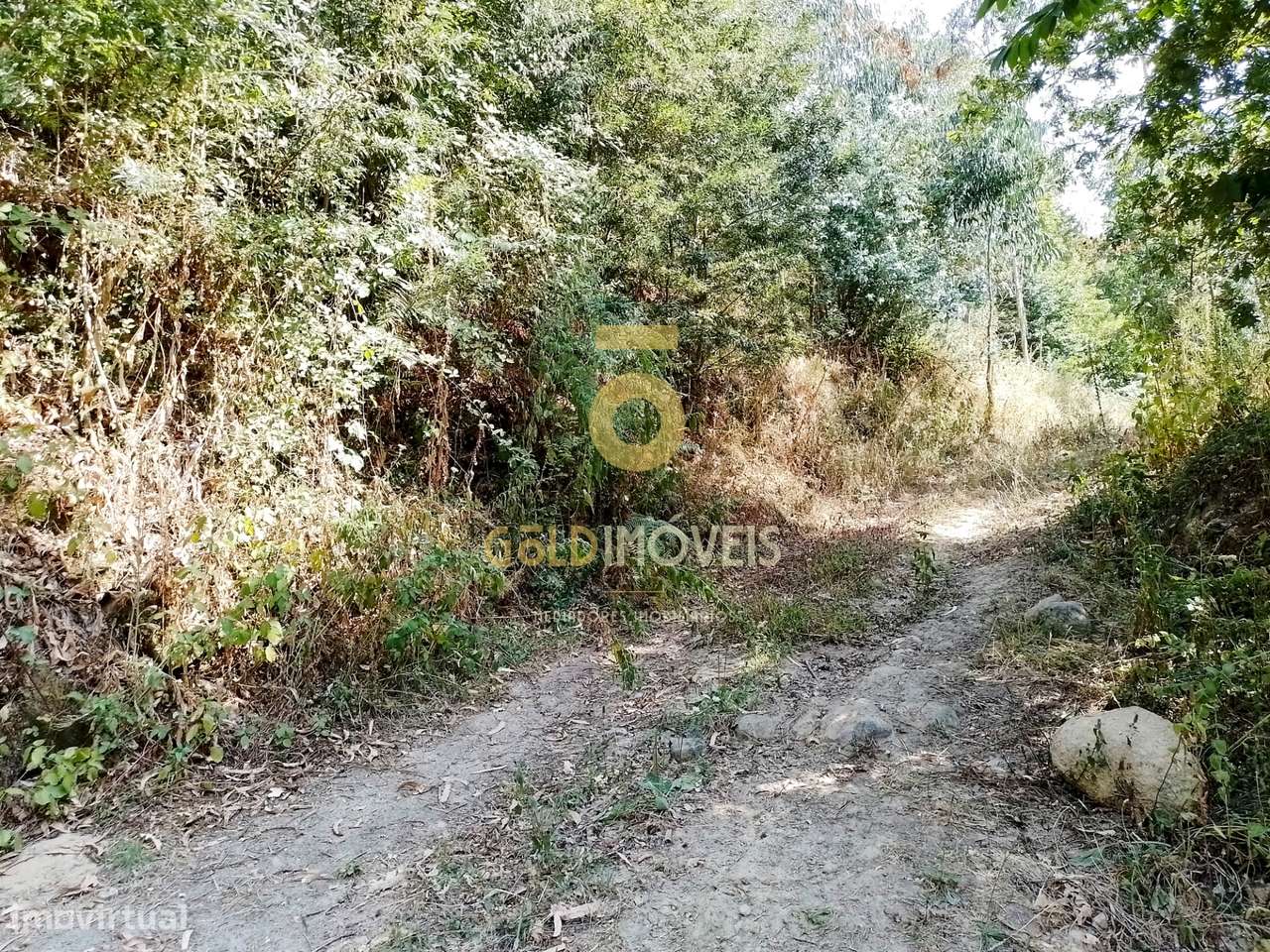 Terreno Rústico  Venda em São Cristóvão de Nogueira,Cinfães - Grande imagem: 5/11