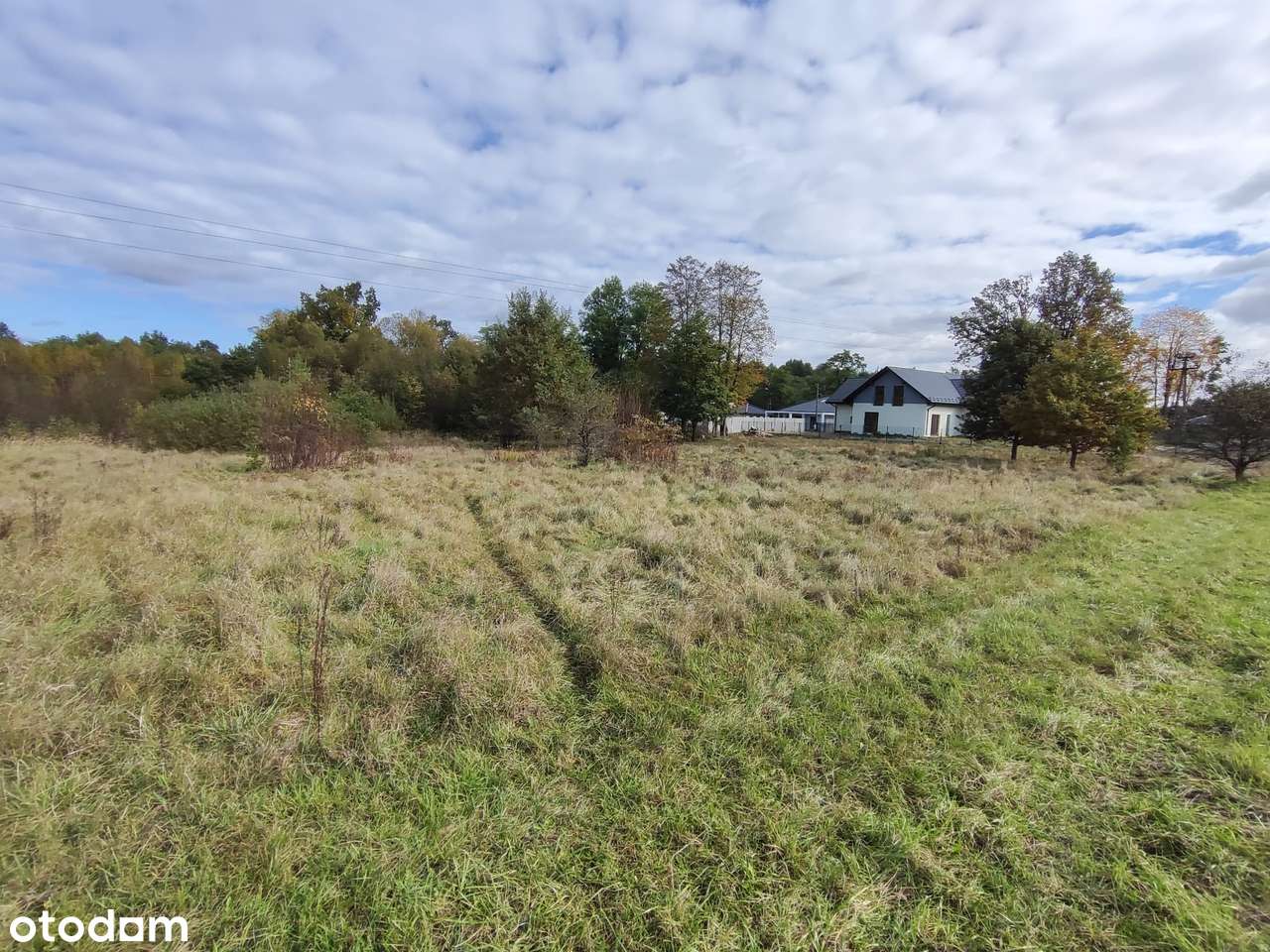 Działki pod lasem-1