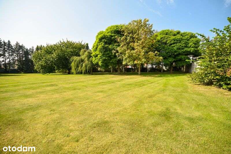 Dom lub obiekt usługowy + działka 5522m2 - Pełny obrazek: 4/14