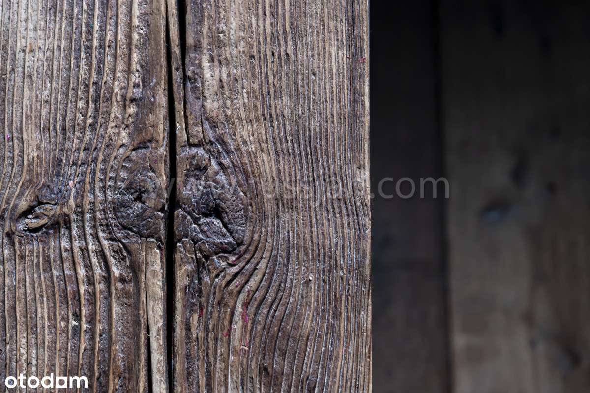 Elegancka willa miejska w leśnej scenerii - Pełny obrazek: 4/20