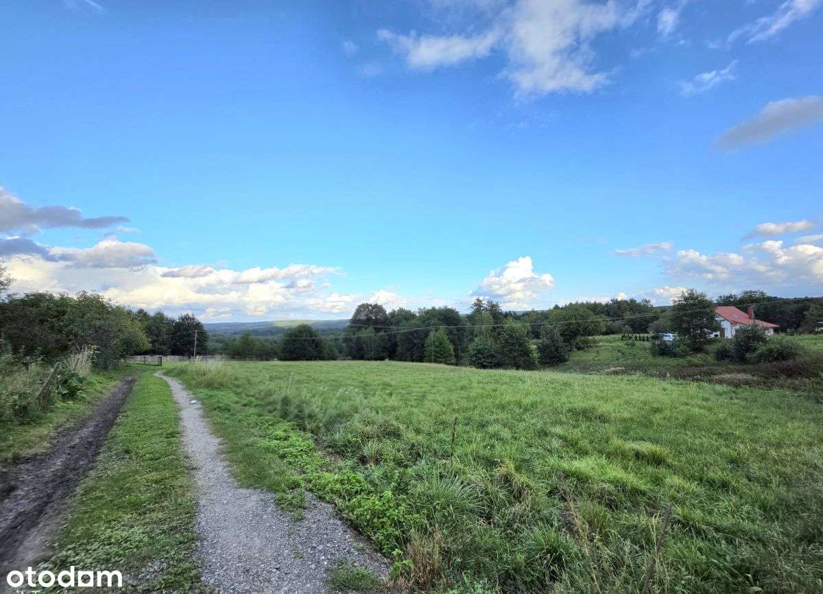 Działka widokowa Z WZ w malowniczej okolicy ! - Pełny obrazek: 5/6