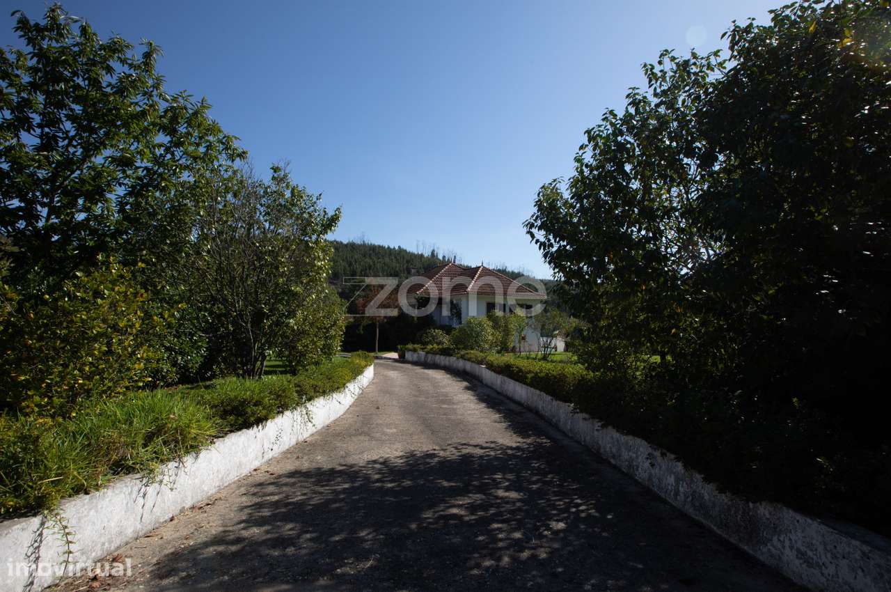 Quinta com Casa estilo colonial em Vila Nova de Poiares - Grande imagem: 3/60