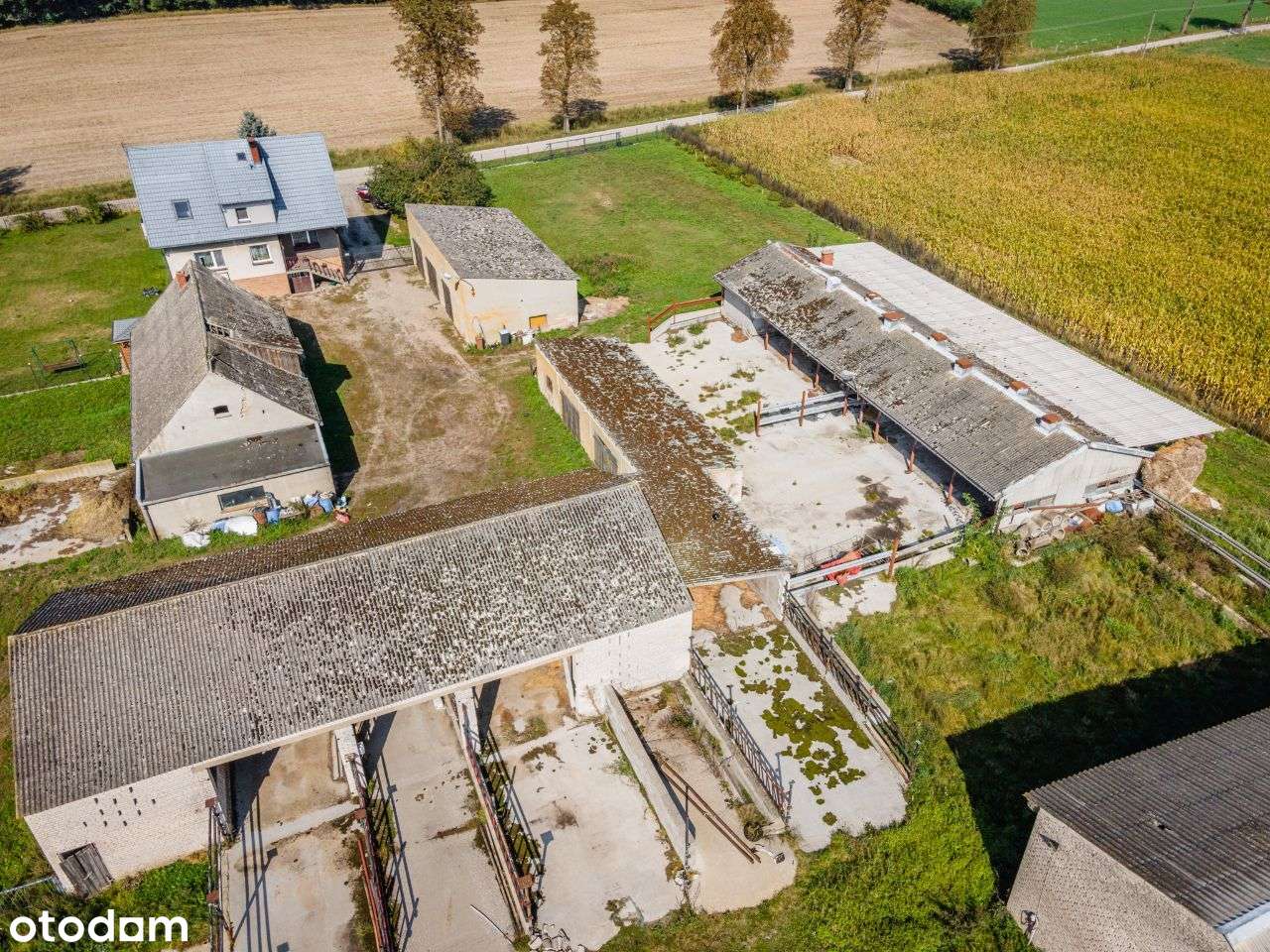 siedlisko wiejskie-17