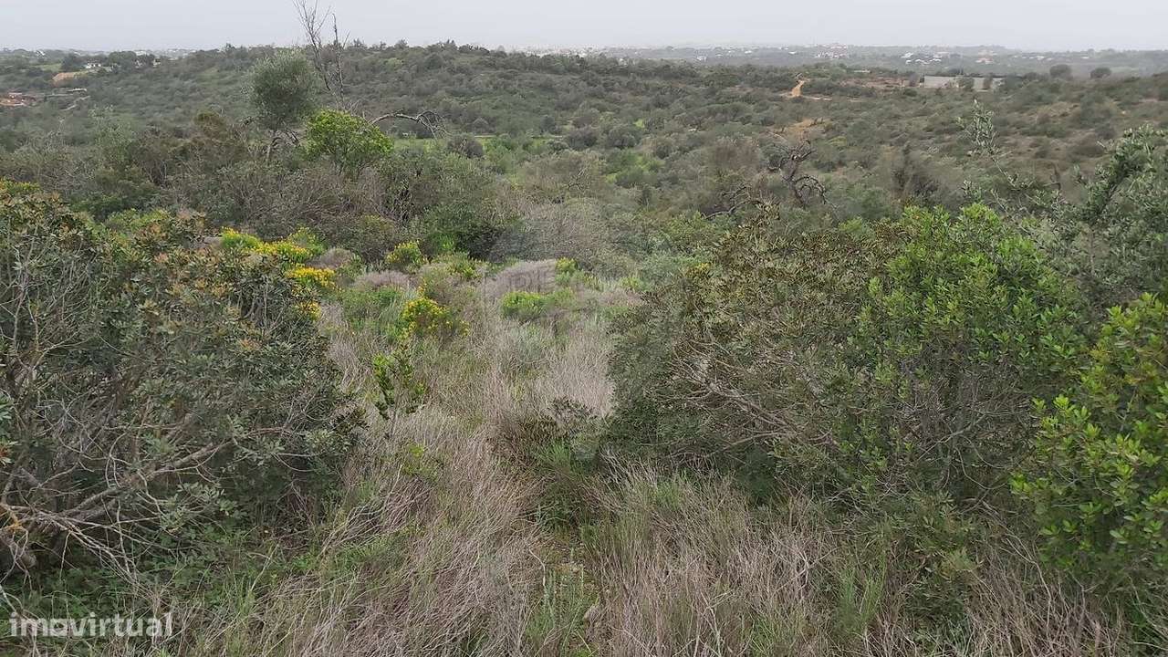 Terreno  para venda - Grande imagem: 4/8