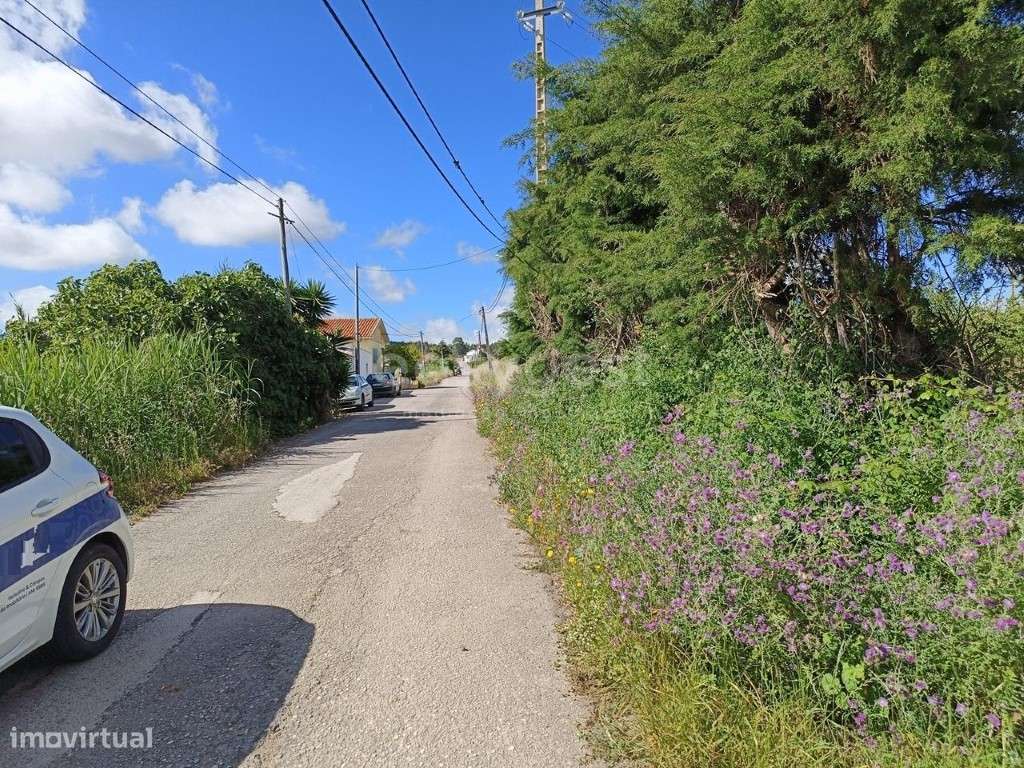 Terreno Rústico com Potencial Agrícola - Tranquilidade e Envolvênci... - Grande imagem: 5/14