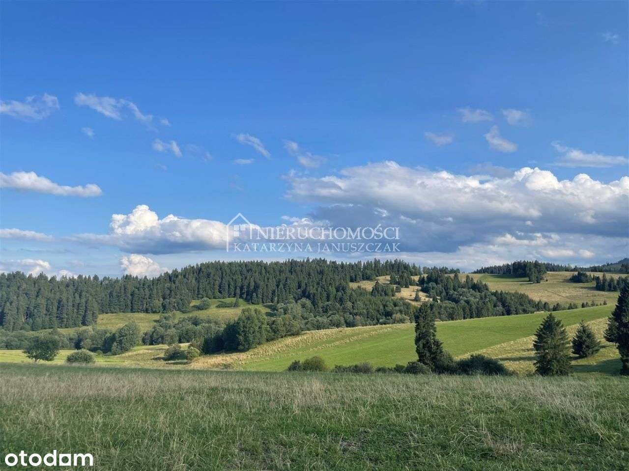 Gospodarstwo Rolne Łapsze Wyżne - Pełny obrazek: 4/8