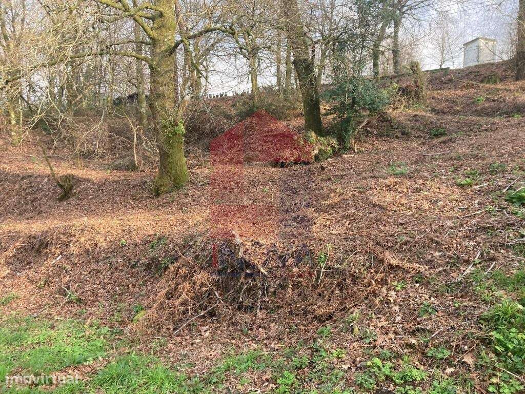 Terreno para construção, Souto - Grande imagem: 5/53