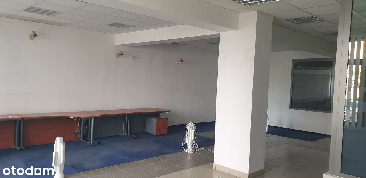 Wynajmę lokal na Swobodnej 40-80m2,140-216 m2 - Pełny obrazek: 5/18