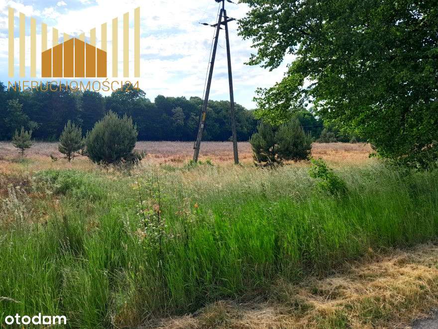 Piękne działki na skraju wsi !!!! - Pełny obrazek: 5/15