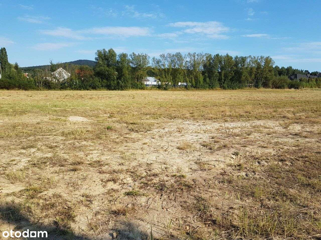 Krajno 7 Działek Zaraz Obok Wyciągu Do Kupienia-7