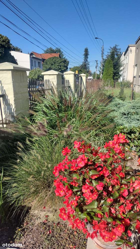 Dom z potencjałym inwestycyjnym na działce 1470 m2 | Jelonki - Pełny obrazek: 5/14