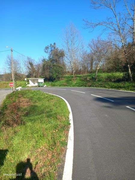 Terreno ideal para horto/viveiro de plantas - Grande imagem: 4/6