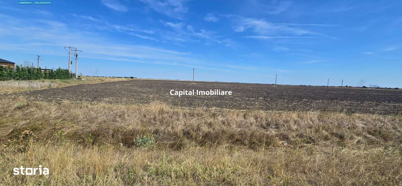 Teren extravilan cu potențial de dezvoltare, la sosea DN6-0