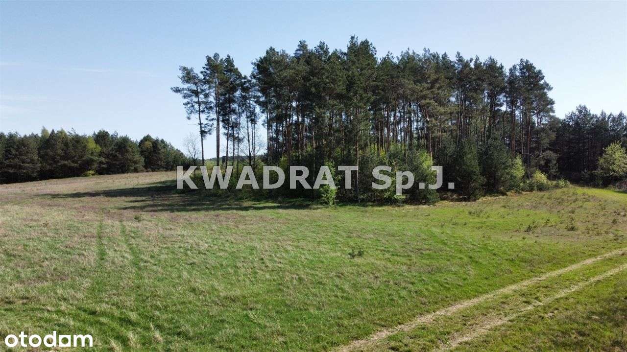 Piękna, duża działka z lasem – Kobyla Góra!!!-10