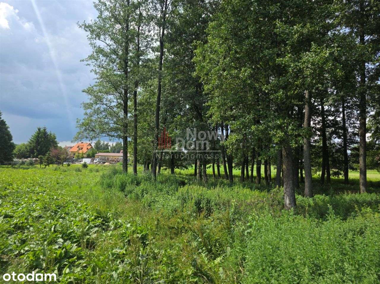 Działki Kożuchy Wielkie Z Lasem!-12