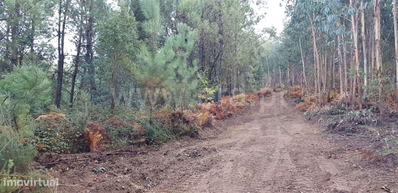 Terreno - Grande imagem: 5/8