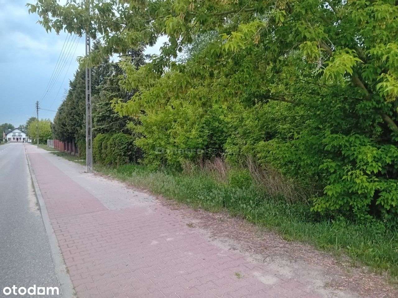 Działka, 873 m², Sowia Wola - Pełny obrazek: 5/5