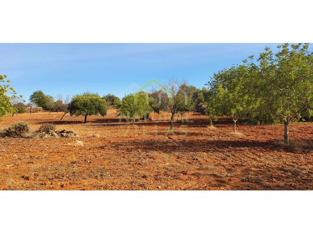 Terreno Misto com Vista Mar Desafogada em Estoi - Grande imagem: 2/8