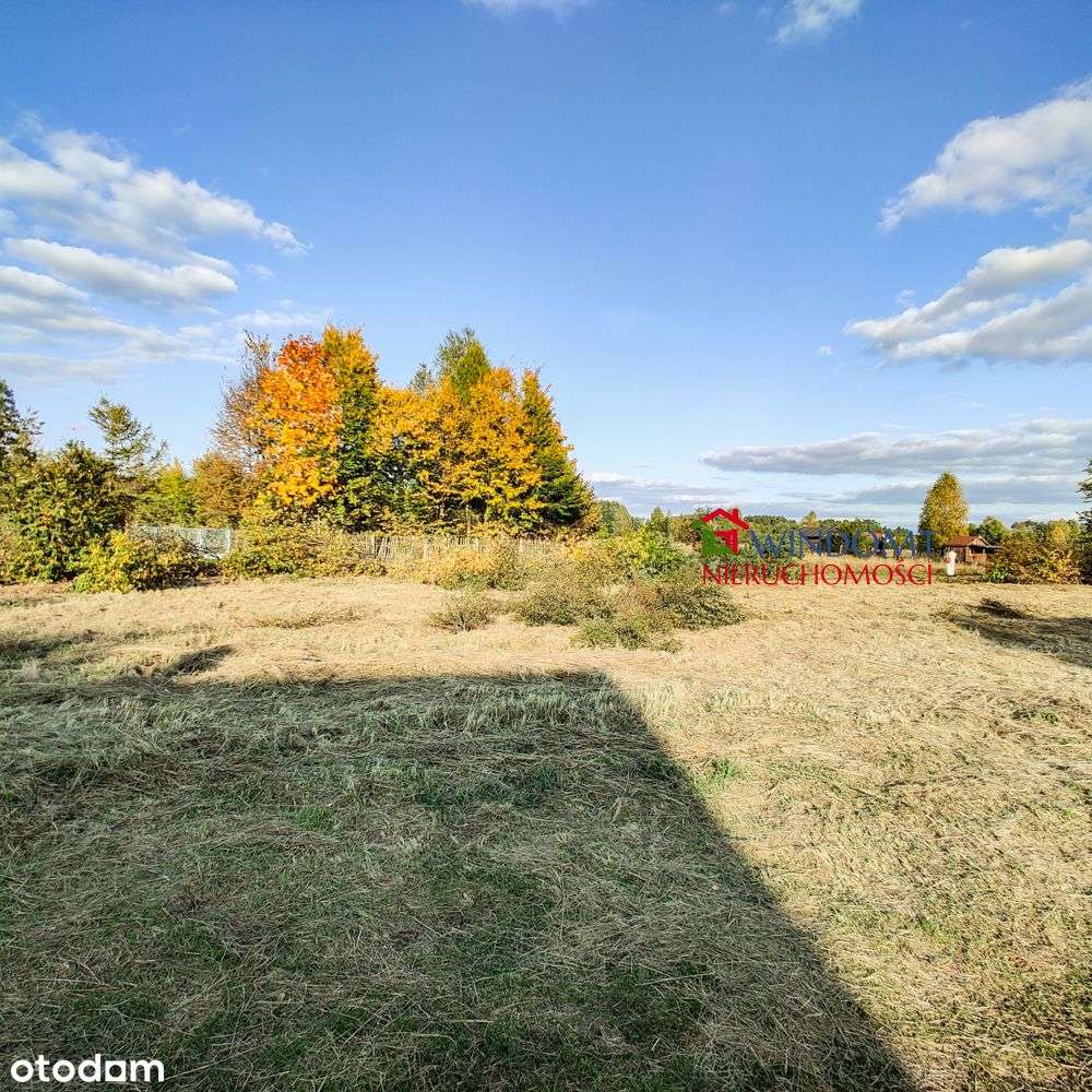 Trzy ustawne, duże działki z pięknym widokiem.-3