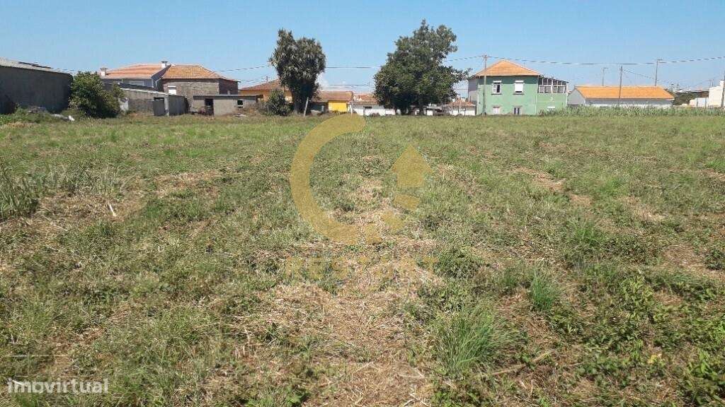 Venda de terreno com 3 mil metros Urbanos, ou a totatlidade dos 8 mil - Grande imagem: 4/8