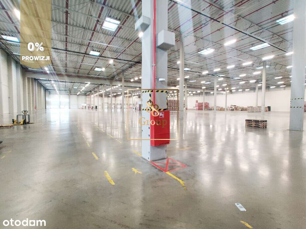 Magazyn 5100 m2 Łódź