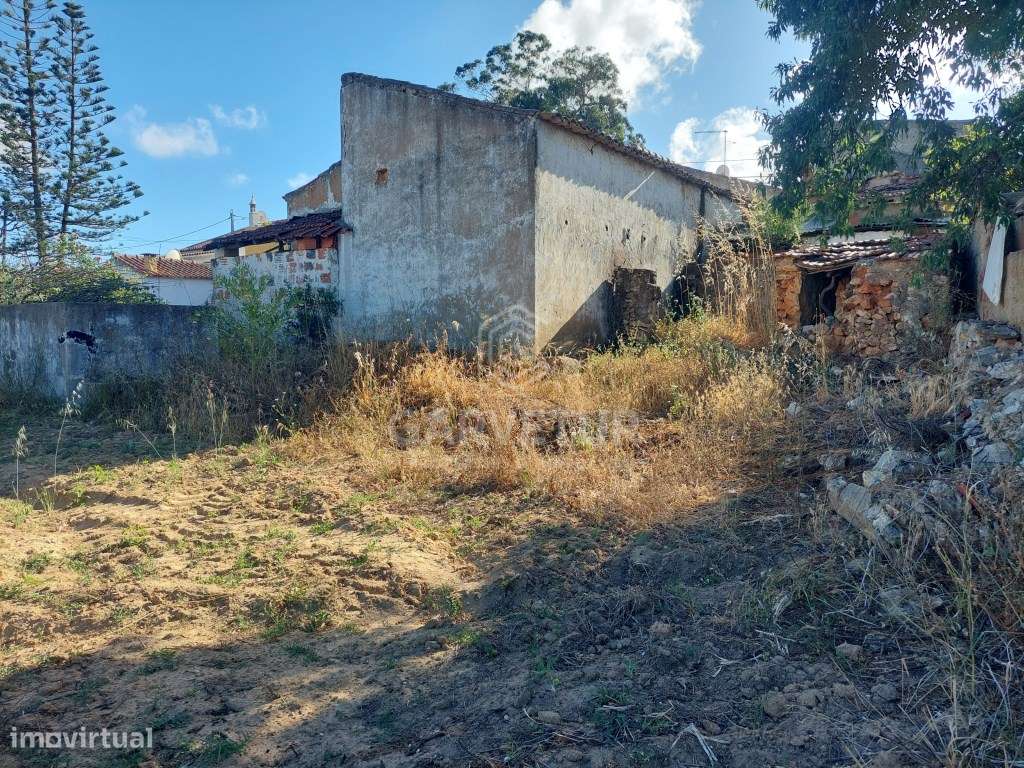 Quinta tradicional, Alcantarilha e Pêra, Algarve - Grande imagem: 3/48
