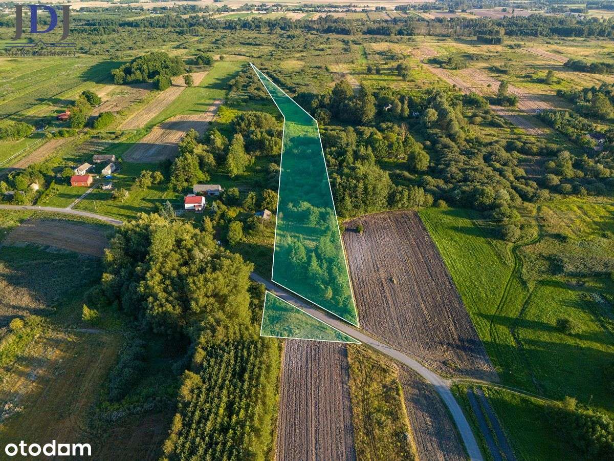 Działka.1.64 ha.Chojno Nowe Pierwsze.Lubelskie - Pełny obrazek: 2/6