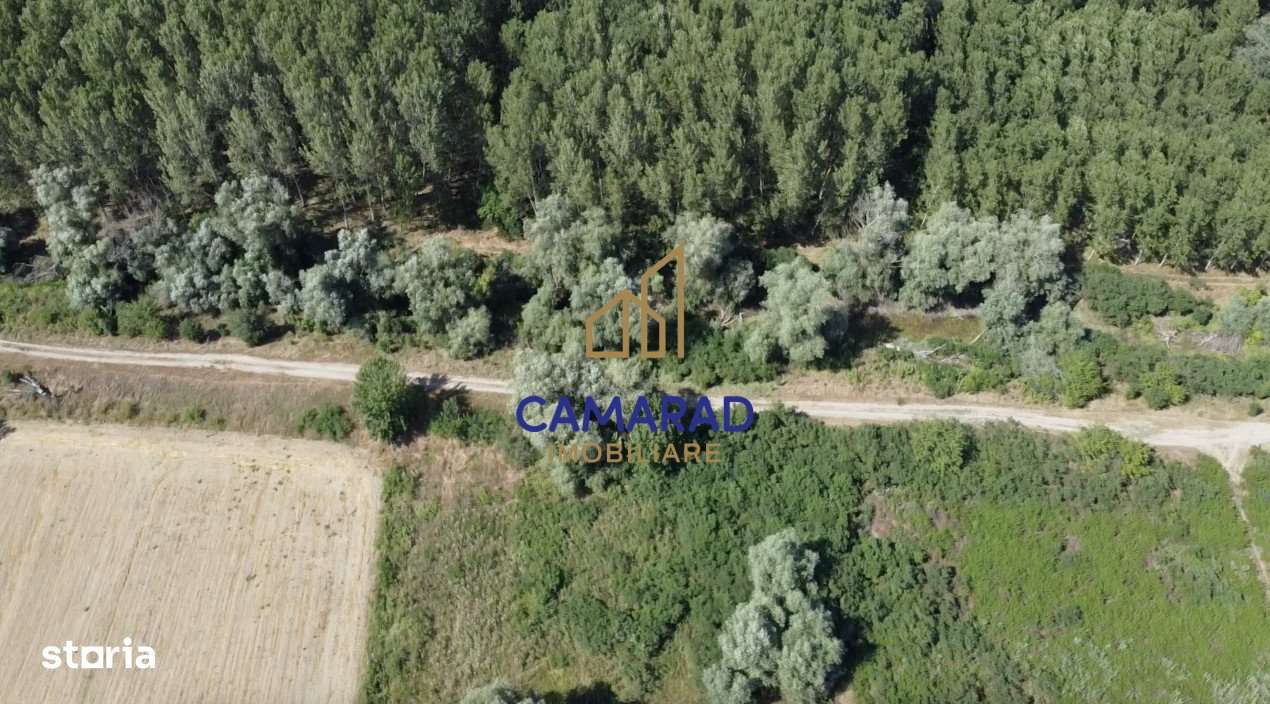 Teren de vanzare - deschidere la Dunare -Baltenii de Sus, comuna Beste - Imagine principală: 4/9