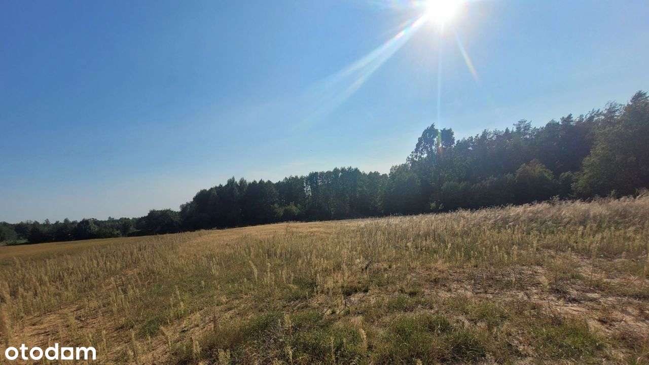 działka budowlana niedaleko Nasielska-7