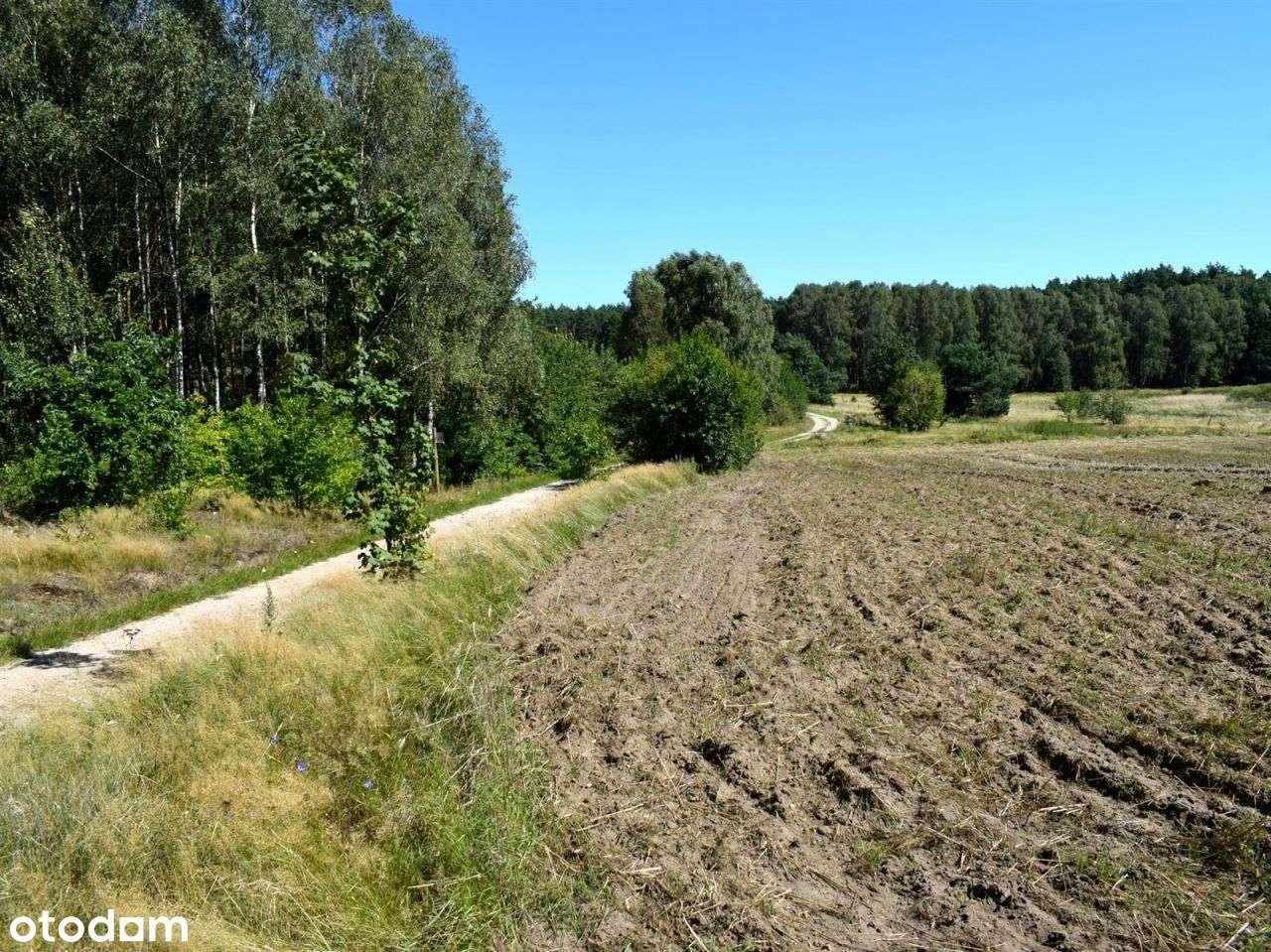 Działka rolna - Ostroróg-3