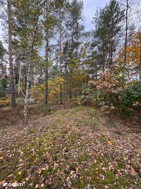 Działka w Wesołej z Mpzp - Pełny obrazek: 2/2